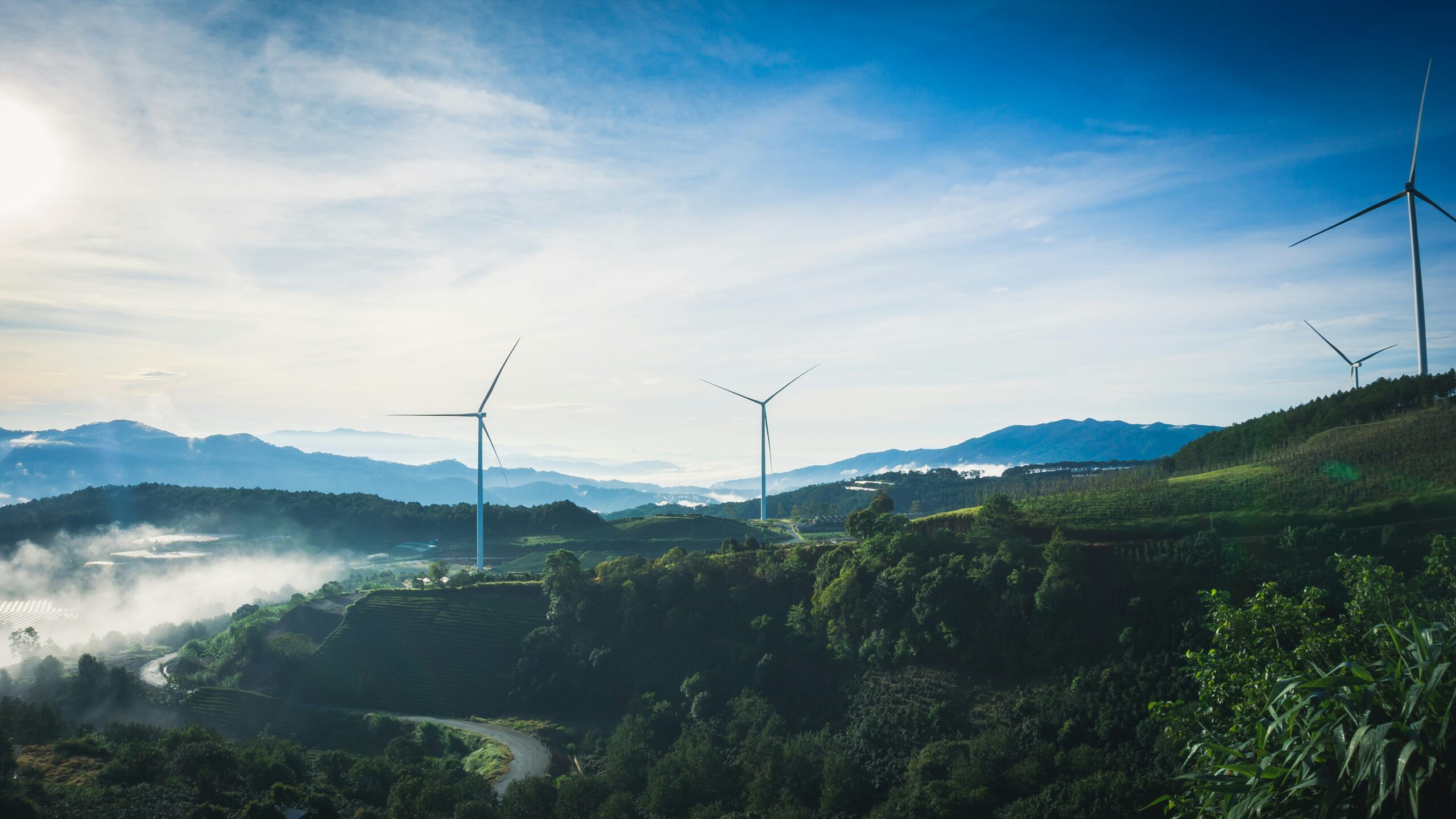 Droit de la transition énergétique - assas executive